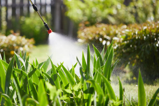 24/7 Emergency Termite Control experts in Ravenna, NE